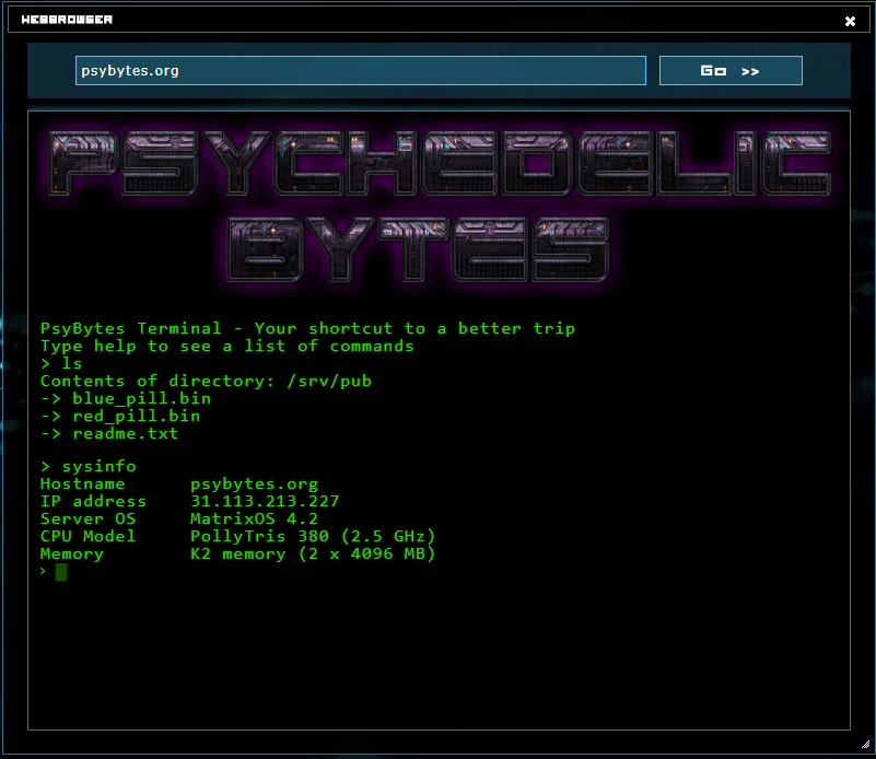 Screenshot of an ingame server in HTO